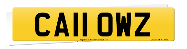 Registration number CA11 OWZ